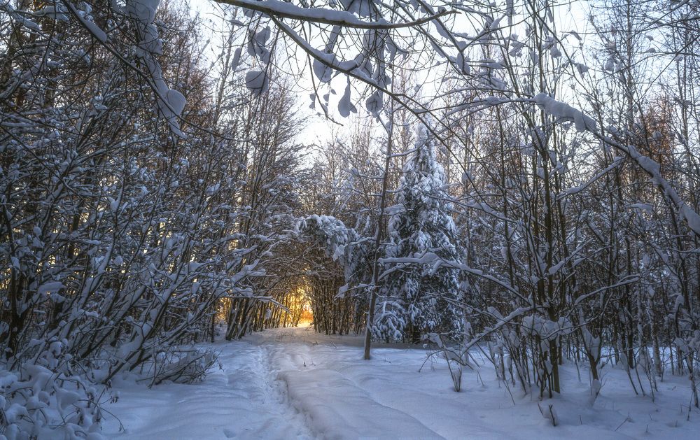 Photograph by Цветков Сергей