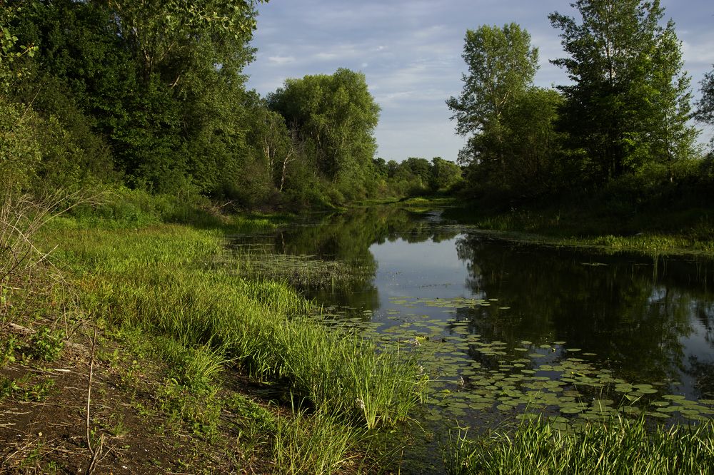 Фотография автора Павлов Дмитрий