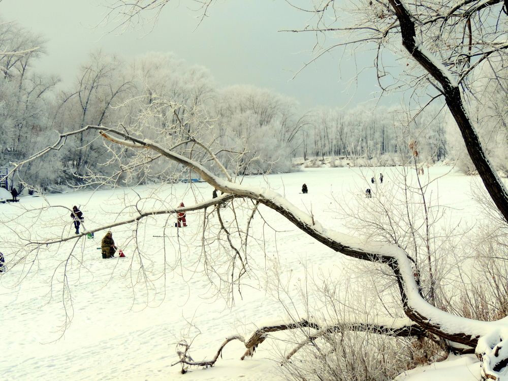 Зимняя рыбалка