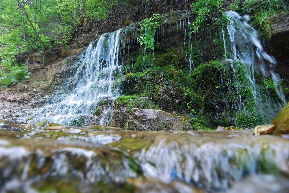 Photograph by Юрий Яковлев