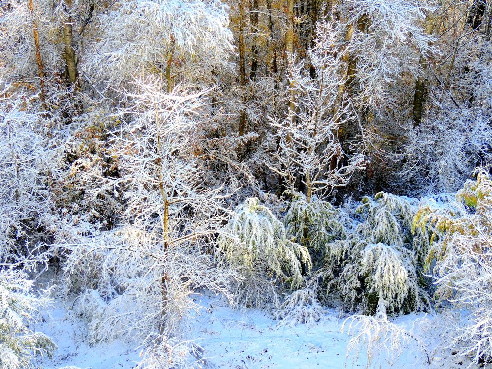 Photograph by Елена Шубочкина