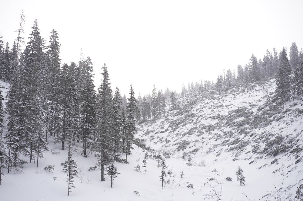 Photograph by Виталий Ракитин