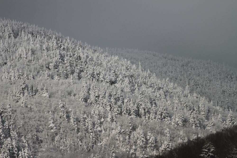 Photograph by Виталий Ракитин