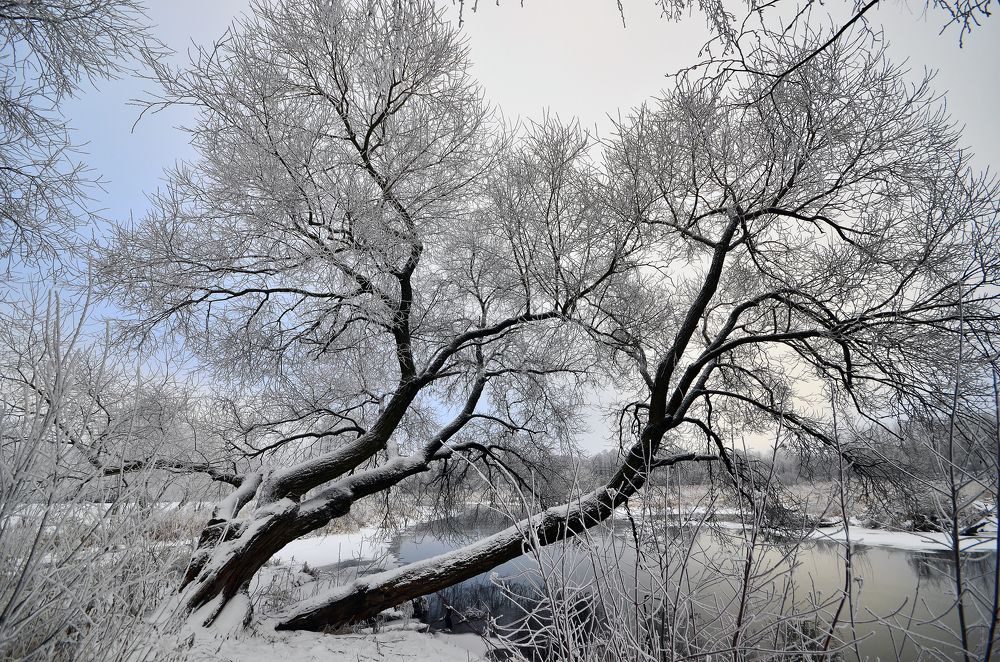 Фотография автора Антип