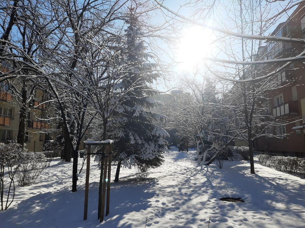 Photograph by Olena Korsakova