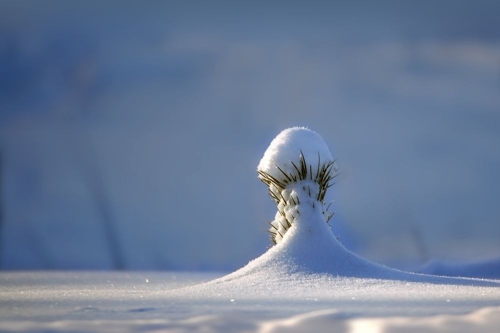 Photograph by Ольга Заболотская