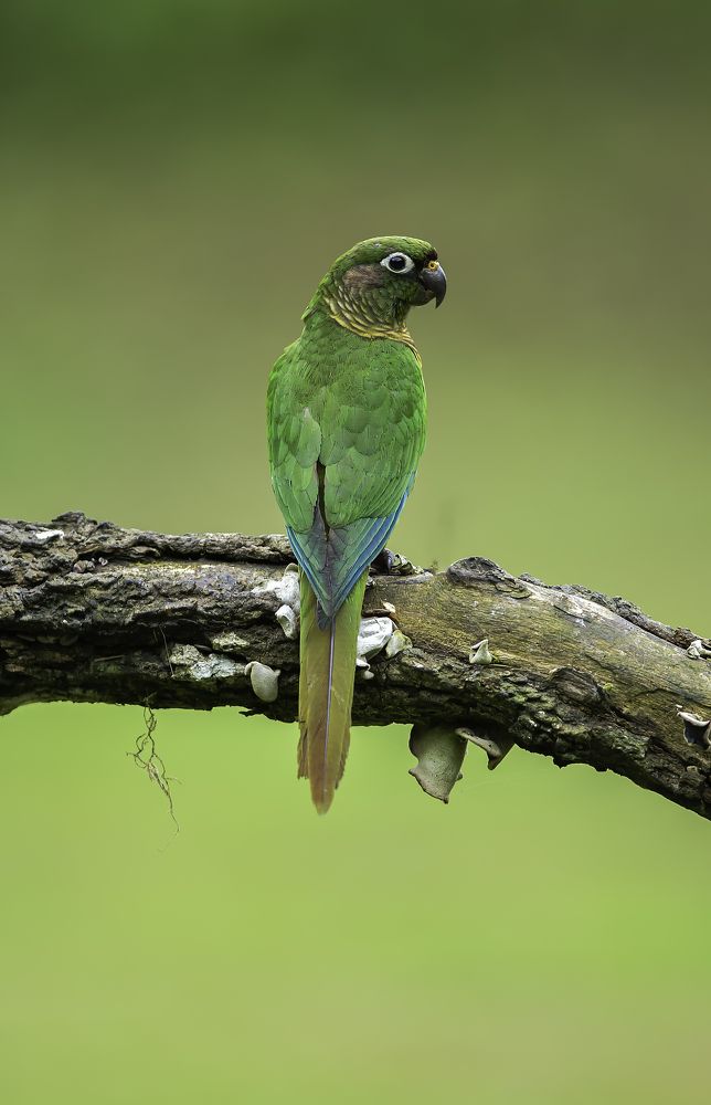 Photograph by Paulo Guerra