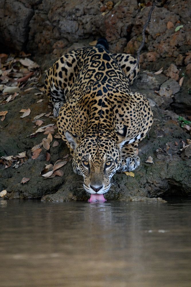 Photograph by Clément Fontaine