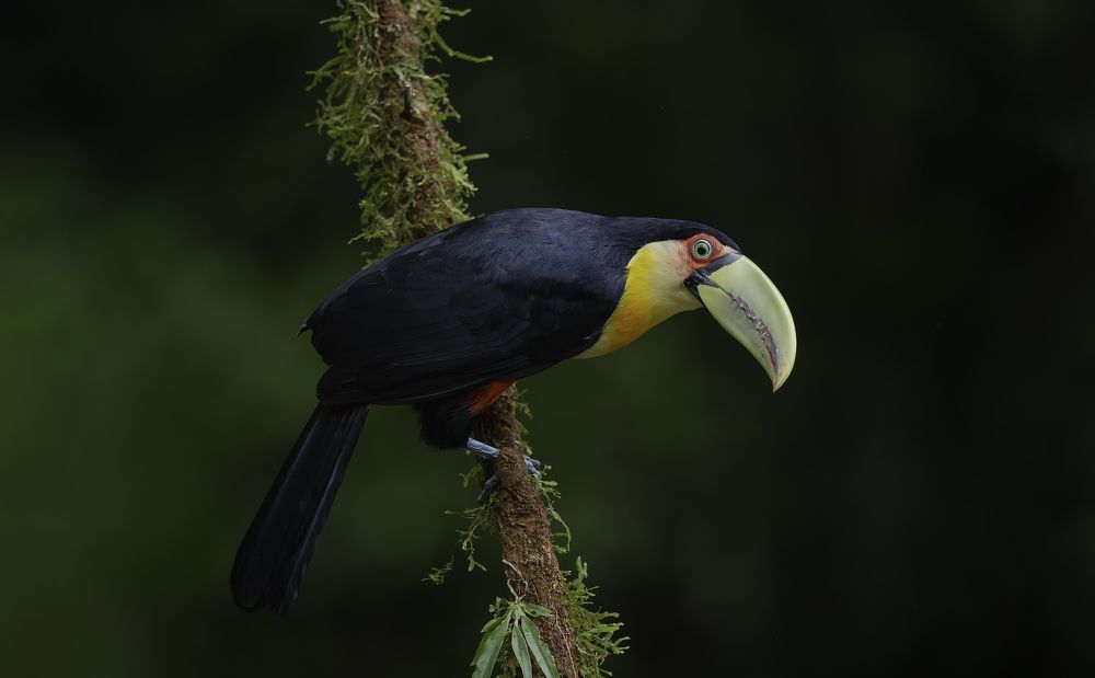 Photograph by Paulo Guerra