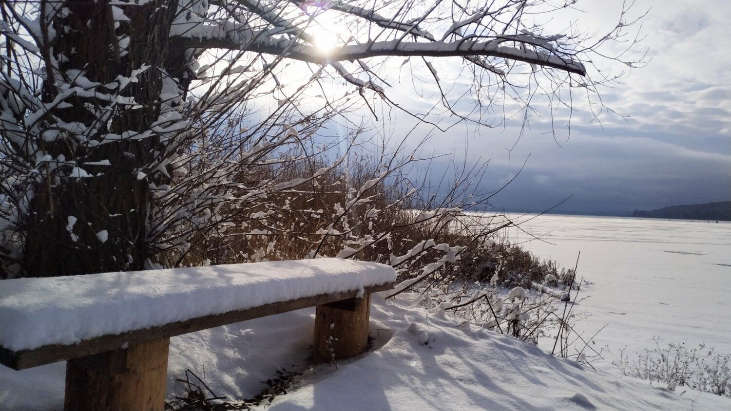 Photo #6928421