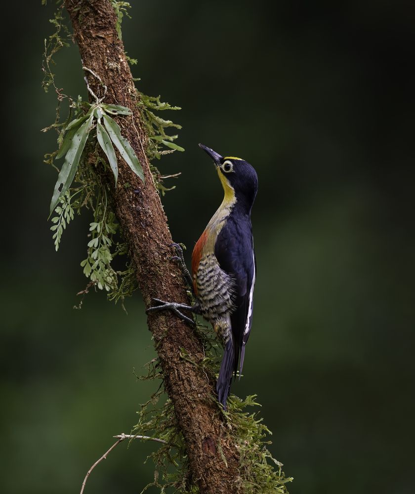 Photograph by Paulo Guerra