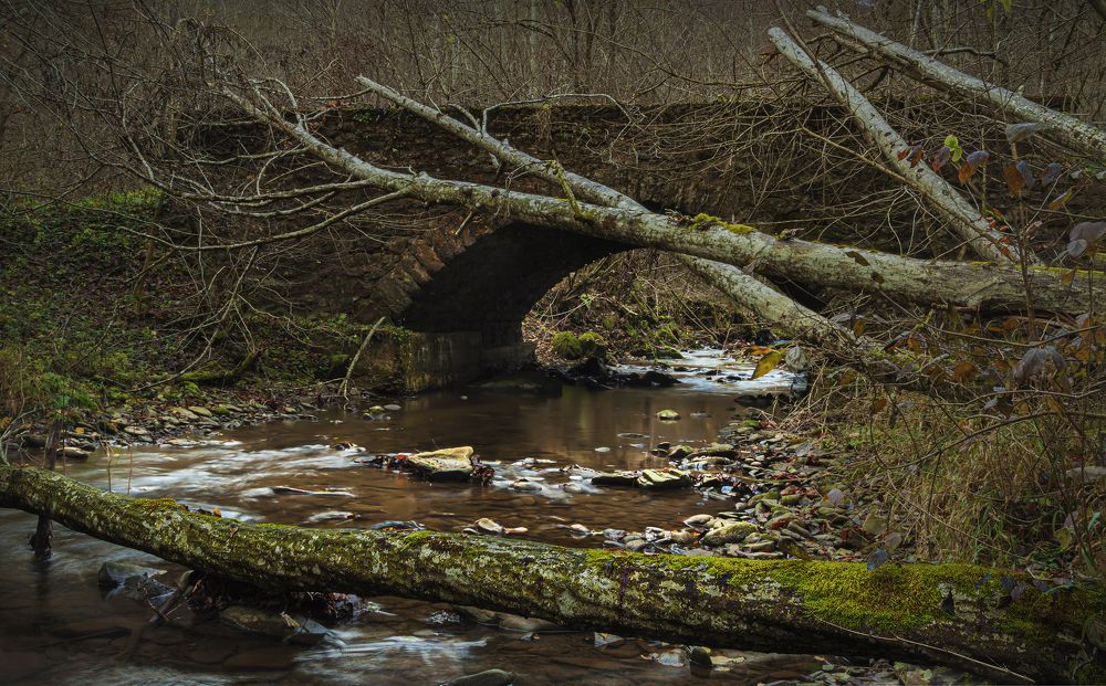 Photograph by Юрий Крилівець