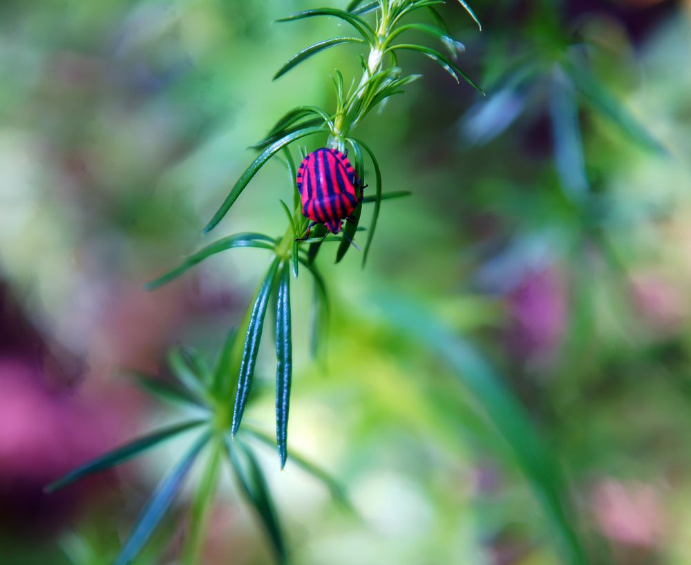 Фотография автора Павлов Дмитрий