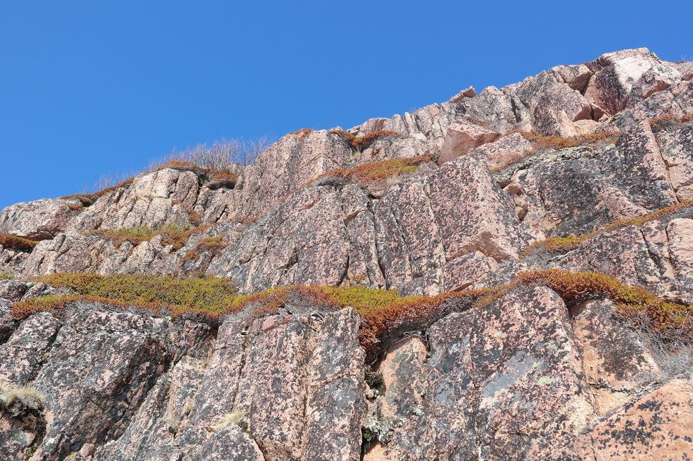 Photograph by Забелинская Татьяна Юрьевна