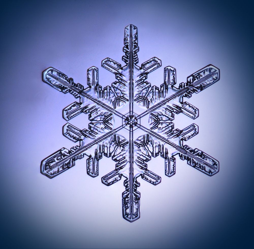 Последний снег 2021 года