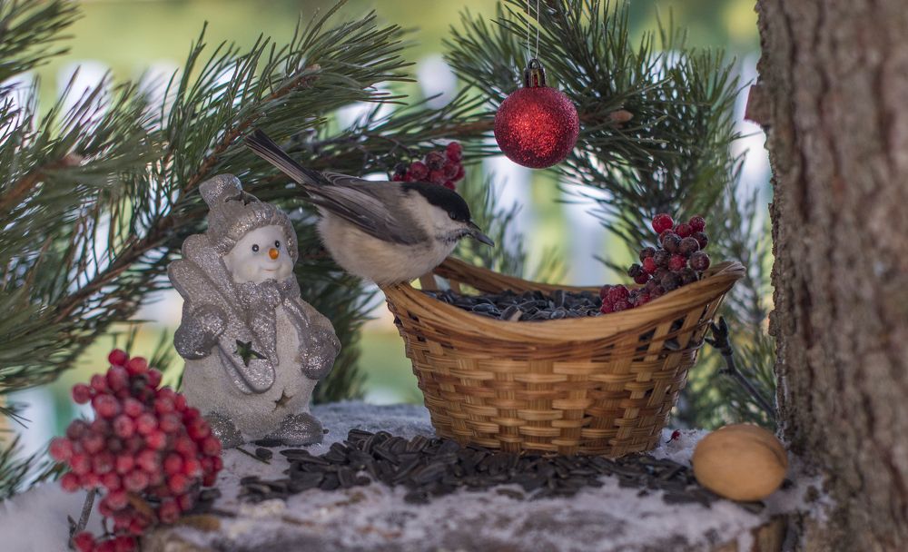 Photograph by Николай Лысцев