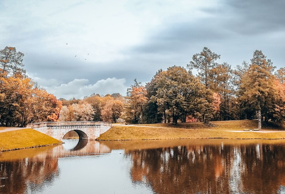 Фотография автора OXANA MARSOVA