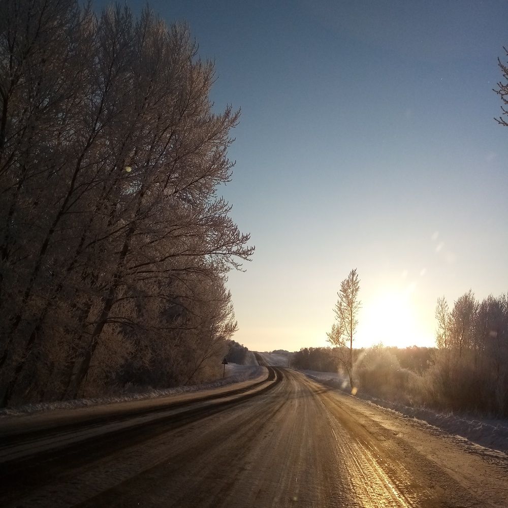 Photo #6928523