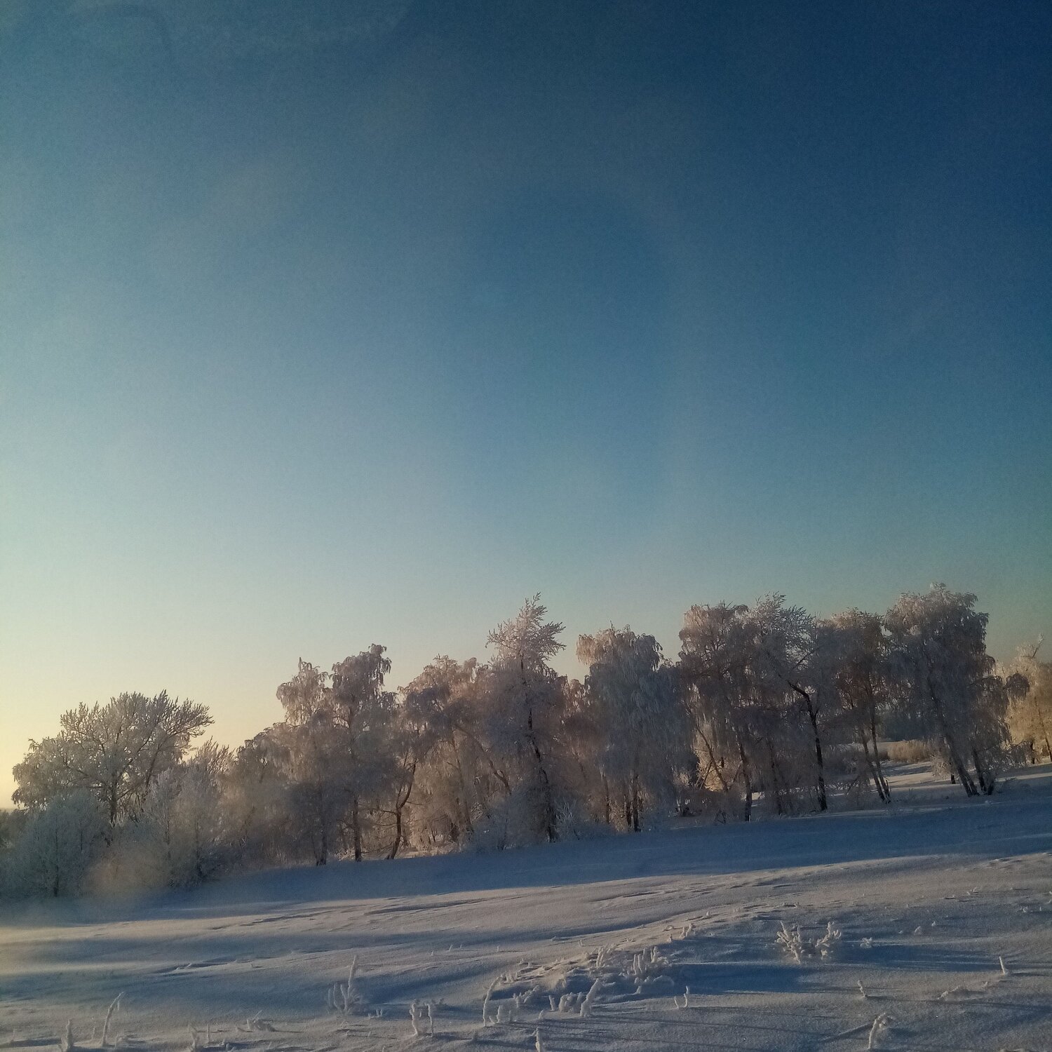 Photo #6928524