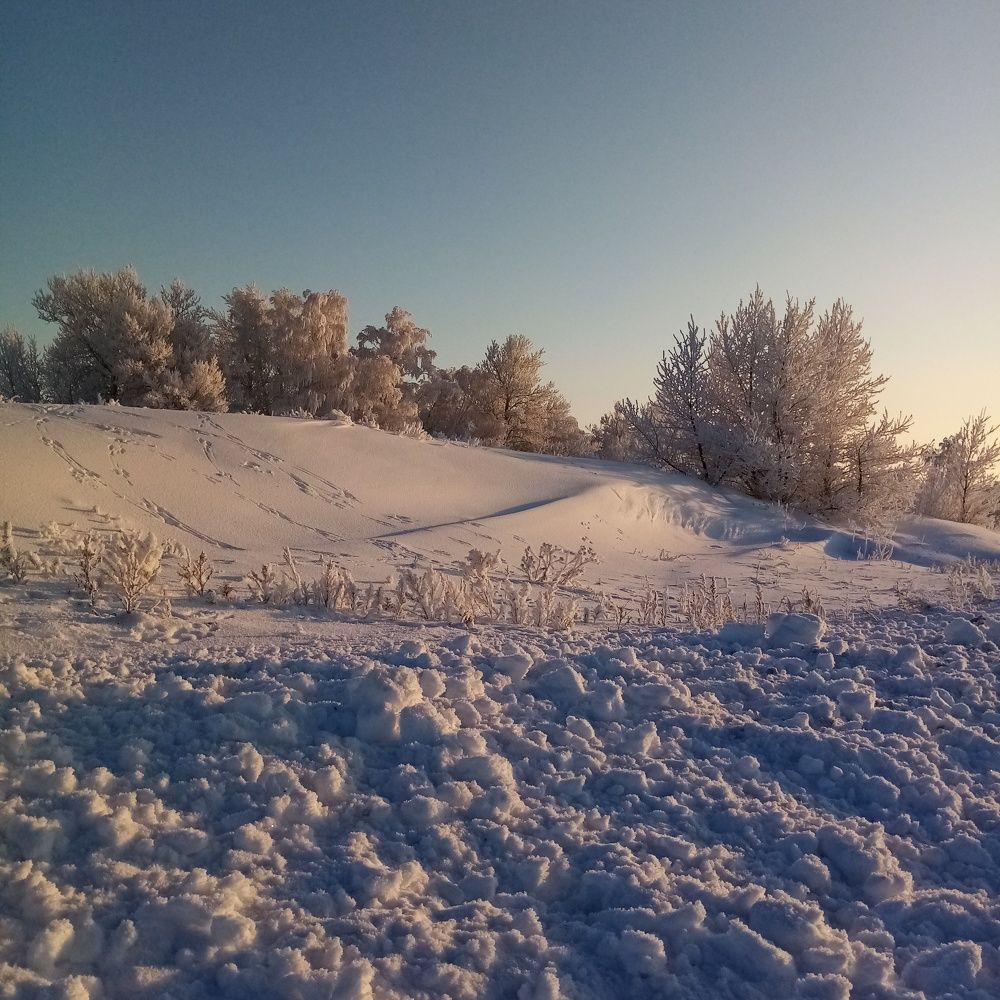Photo #6928525