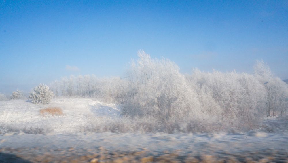 Photograph by Елена Пасажицкая