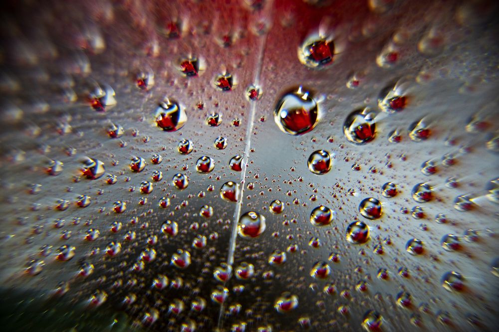 Фотография автора Павлов Дмитрий