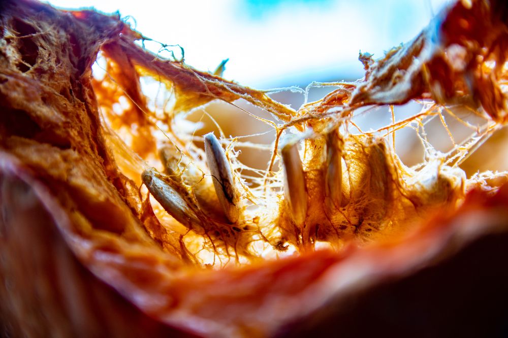 Фотография автора Павлов Дмитрий