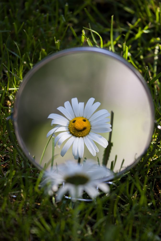 Фотография автора Андрій Лучишин