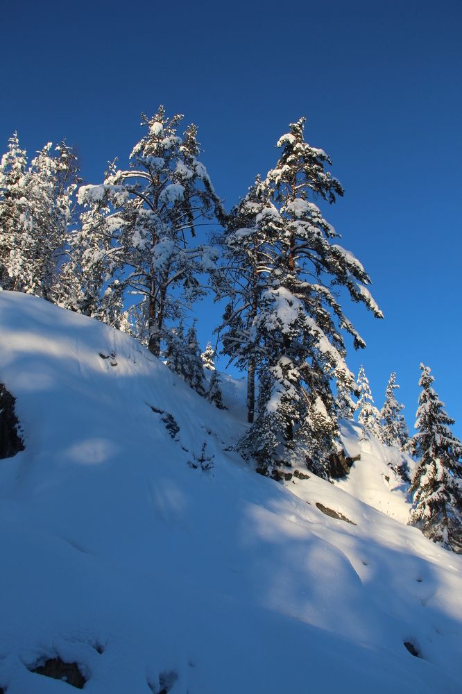 Photograph by Валентина