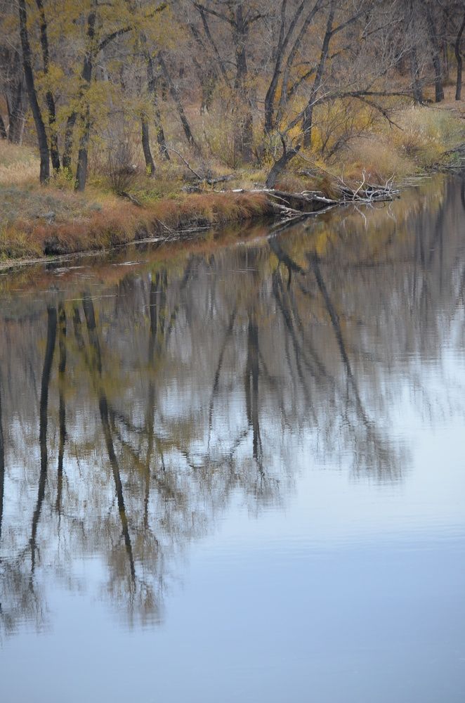 Photograph by Ольга Мокрова