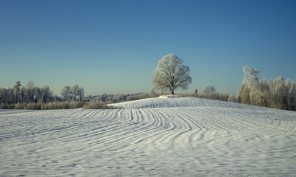Photograph by Juris Buklovskis