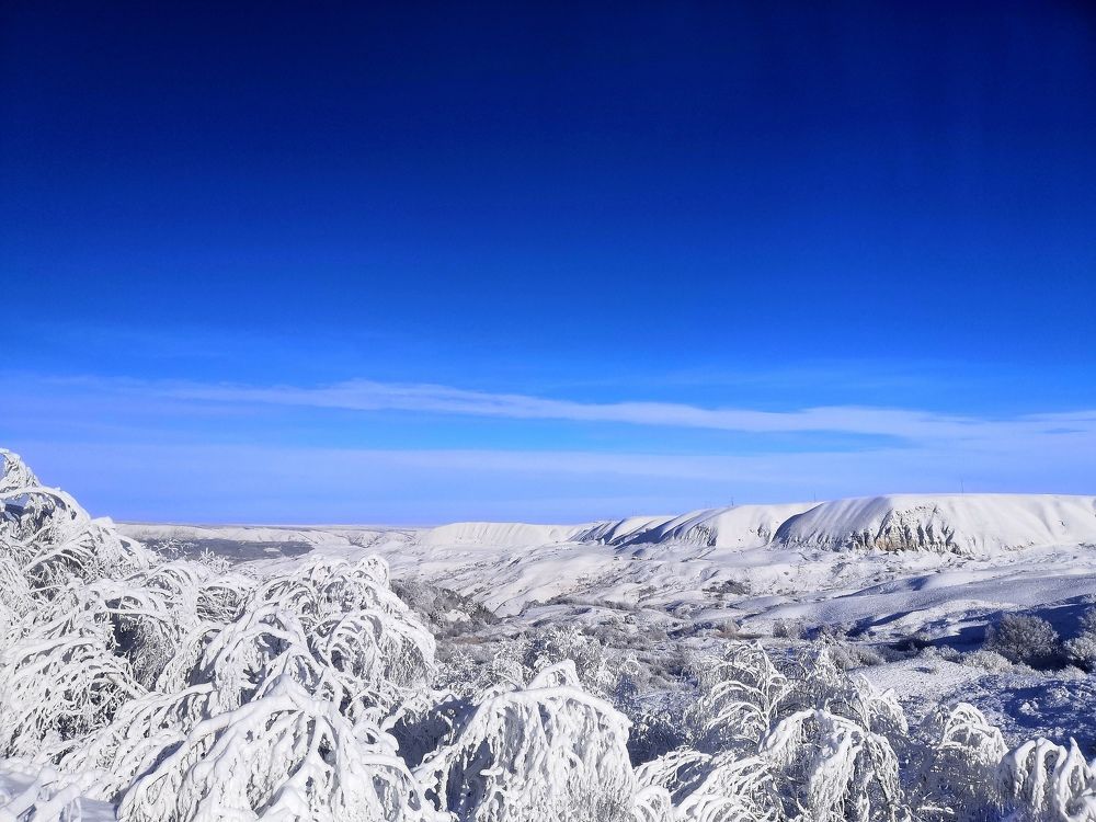 Photograph by Сергей Воронцов