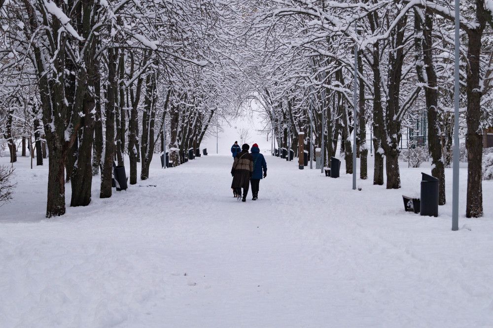 Photograph by Vlad Proshin