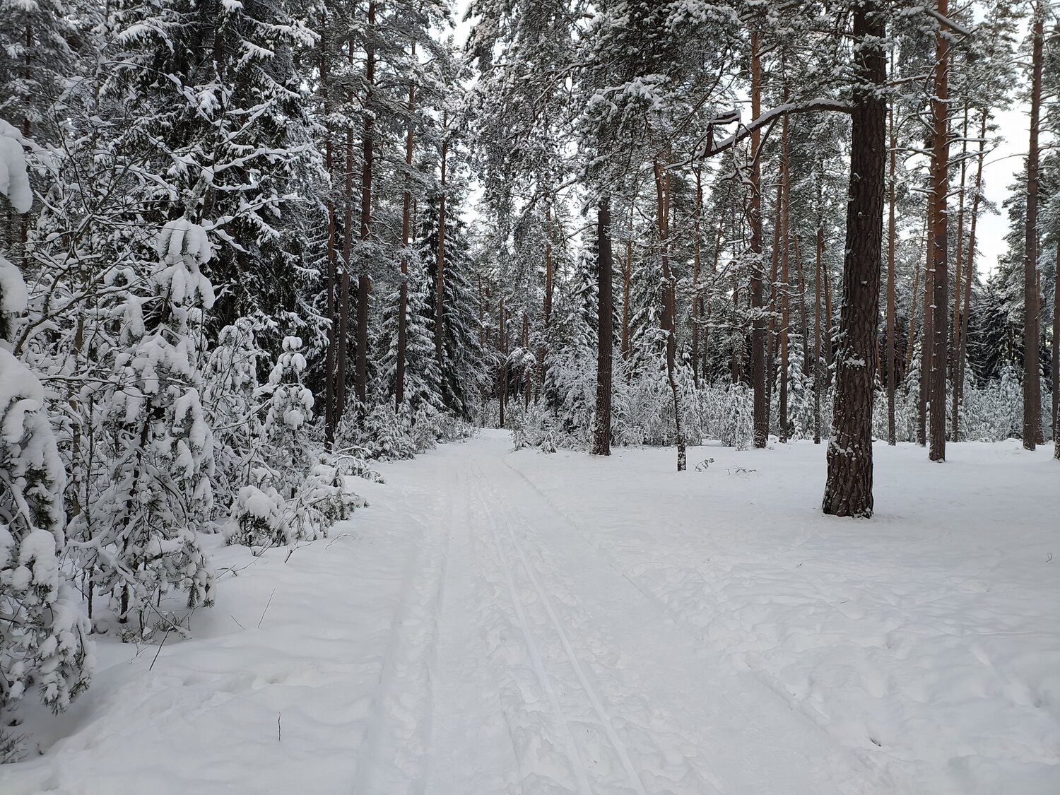Photo #6928925