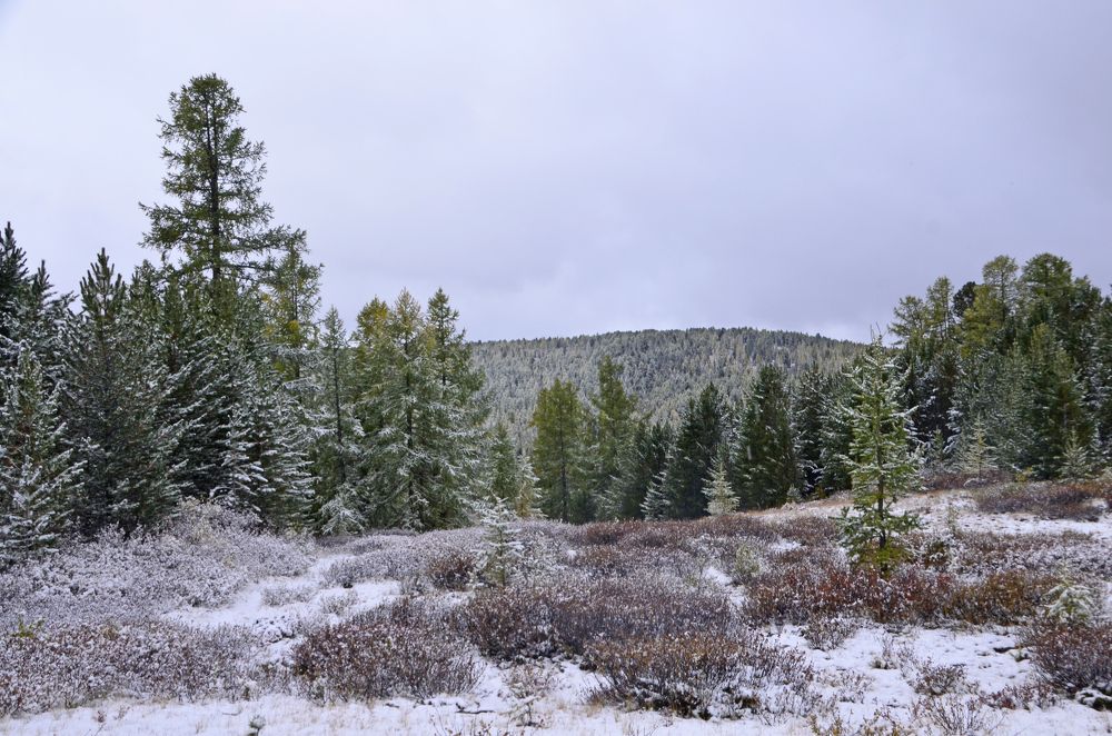 Photograph by Олёна Юрченко