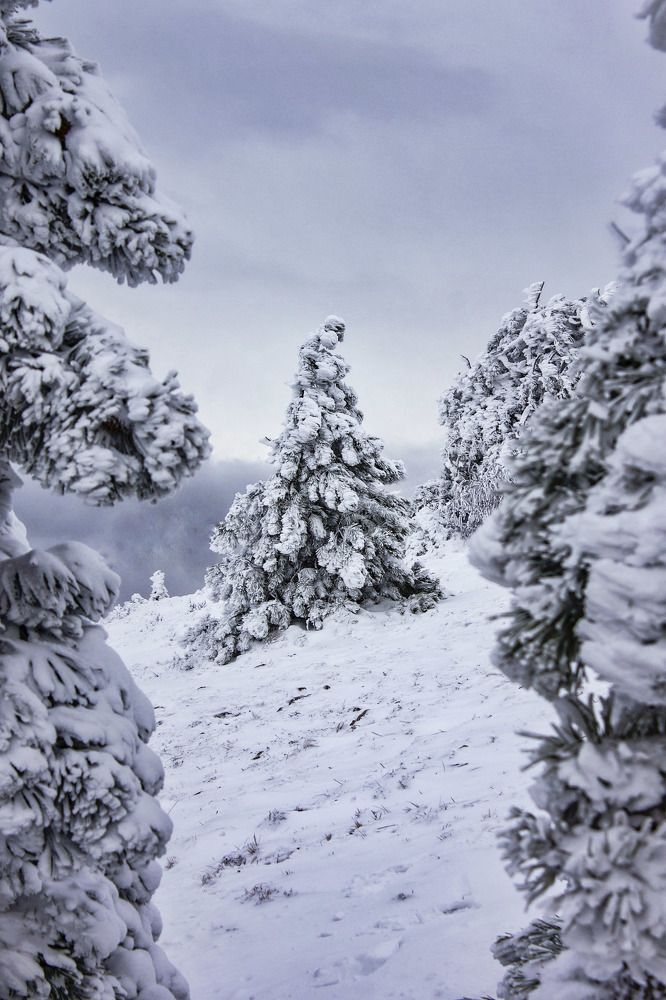 Photograph by Никита