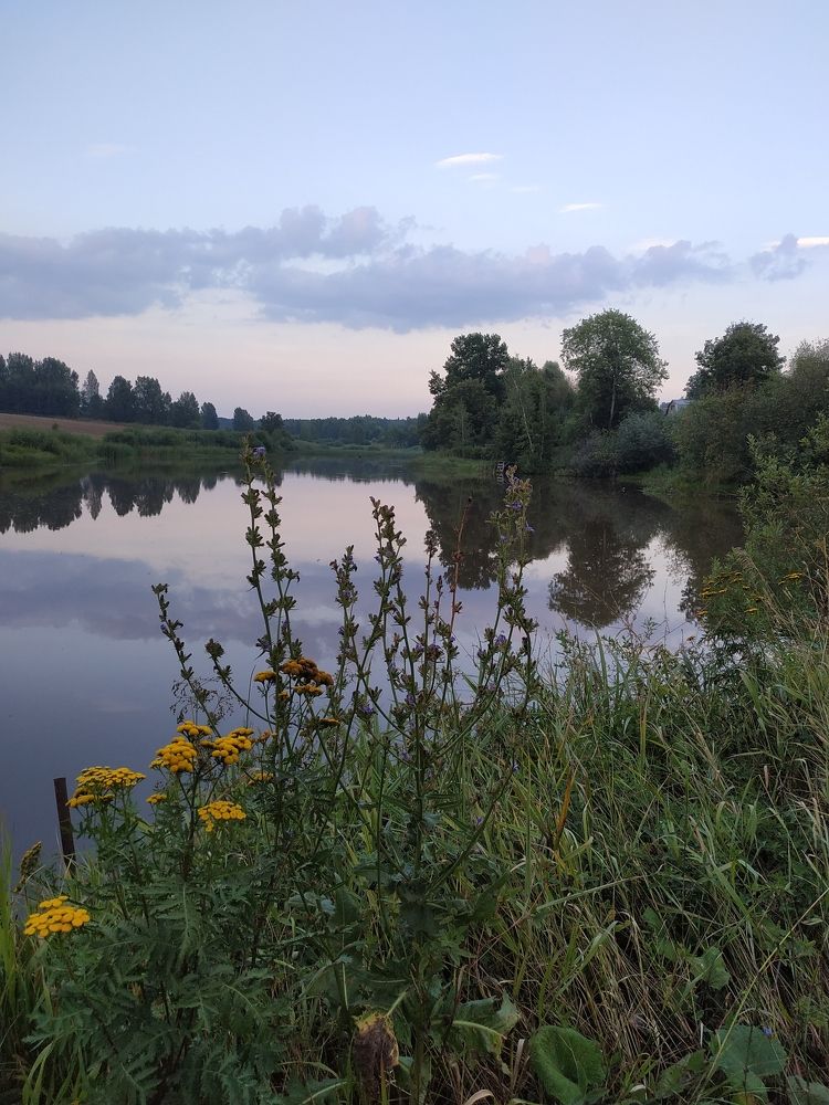 Photograph by Анастасия Суслина