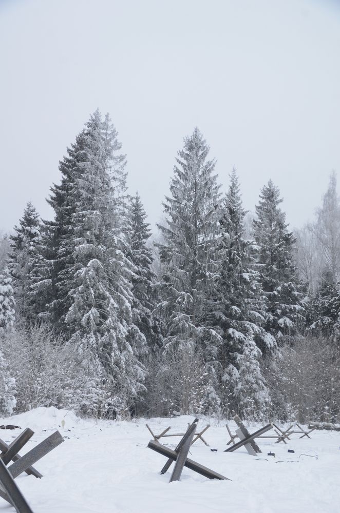 Photograph by Олёна Юрченко