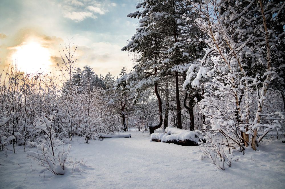 Photograph by Дмитрий Тимин