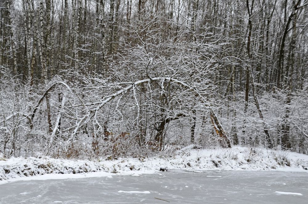 Photograph by Олёна Юрченко