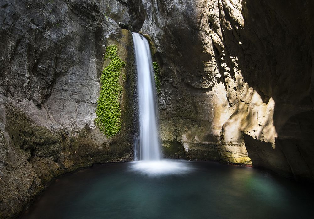 Photograph by Davor Goll