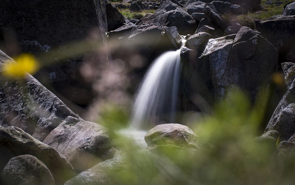 Photograph by Davor Goll