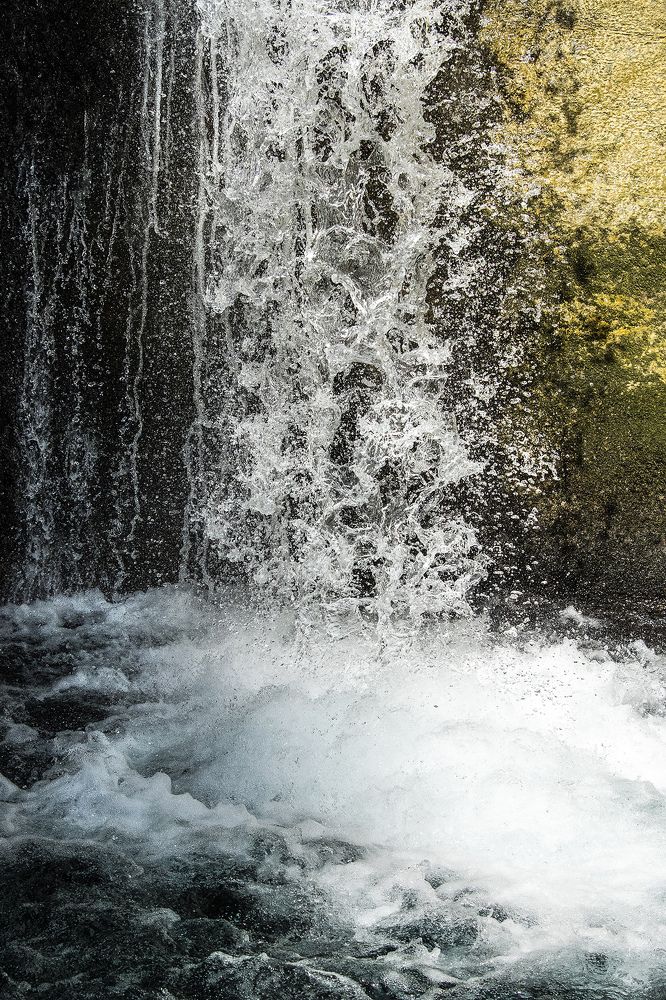 Photograph by Davor Goll