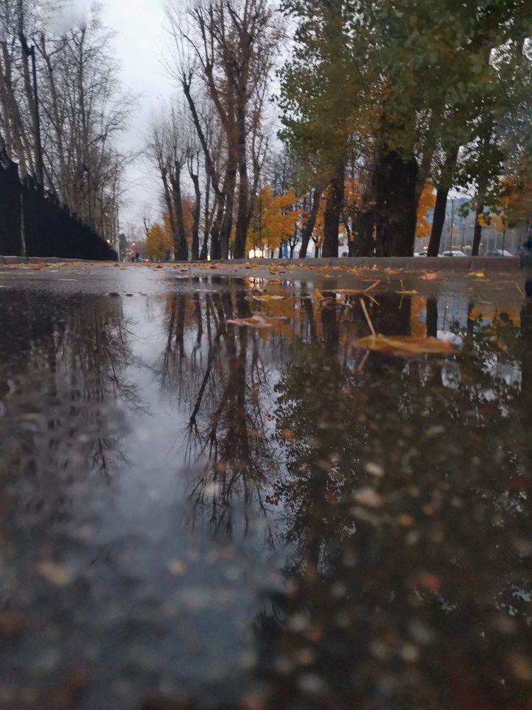 Photograph by Власова Ольга Николаевна