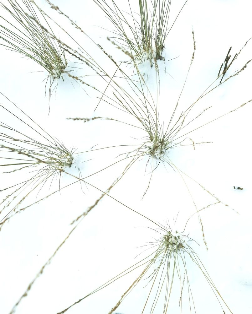 Photograph by Наталья