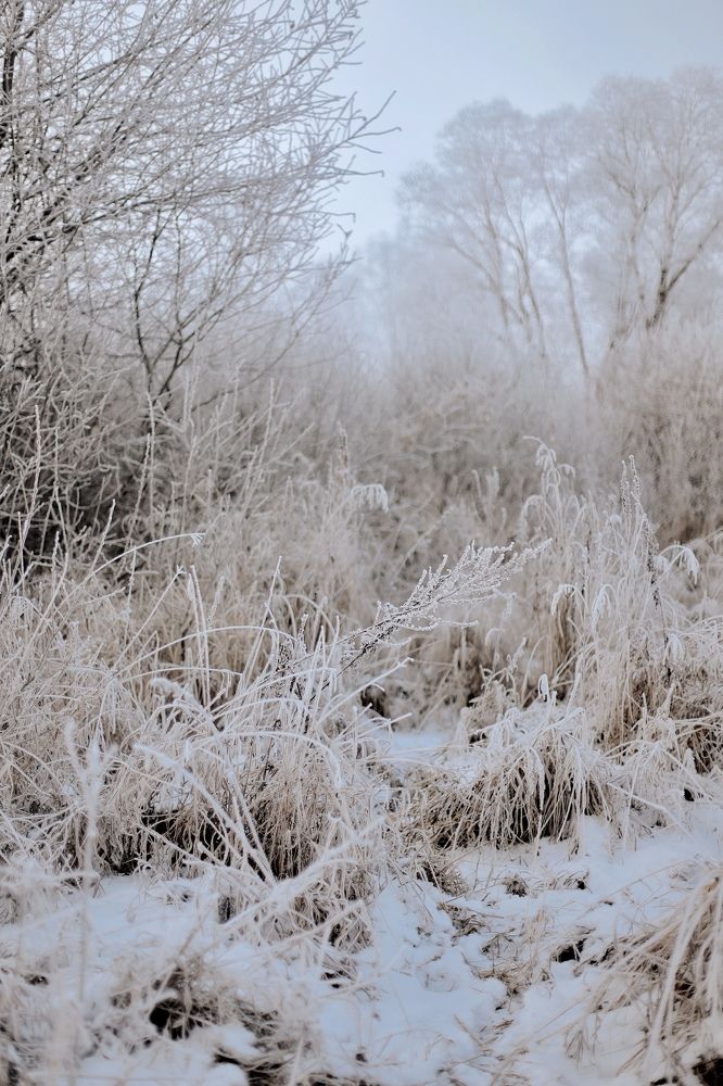 Photograph by Аида Фай