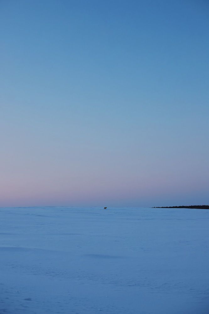 Photograph by Аида Фай