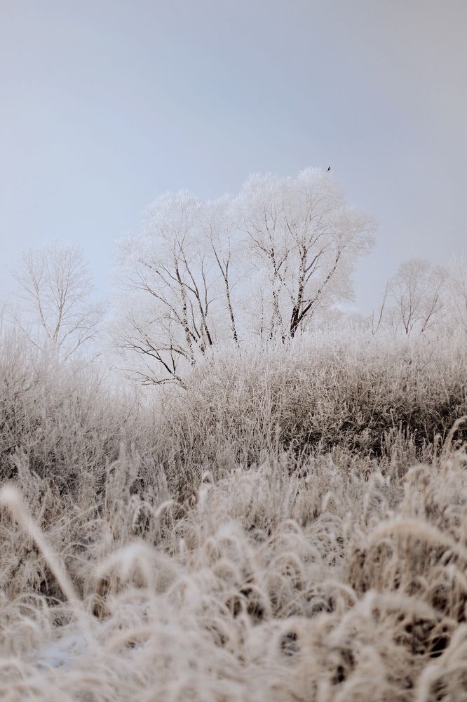 Photograph by Аида Фай