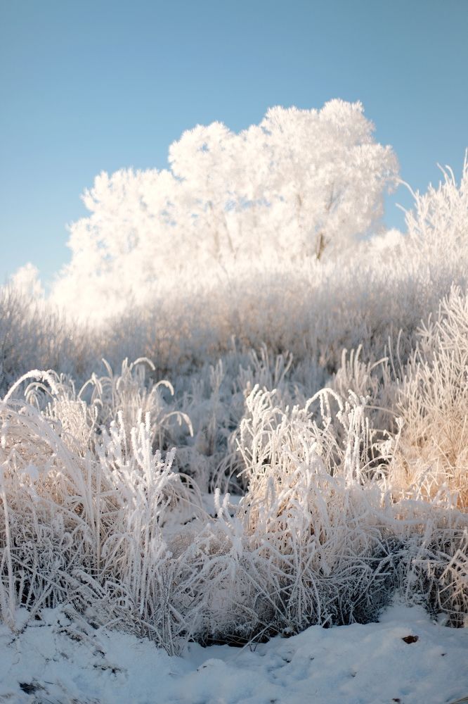 Photograph by Аида Фай