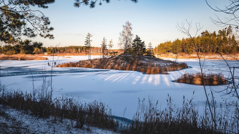 Фотография автора Dmitriy Sotnikov